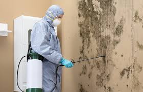 Best Mold Removal for HVAC Installations  in Port Washington, NY